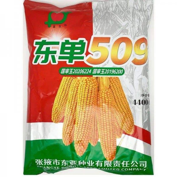 东单7512玉米种子简介