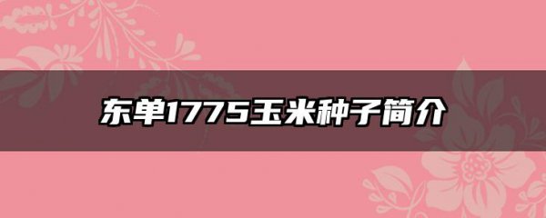 东单1775玉米种子简介