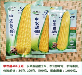 全国十大玉米种子品牌排行榜 十大玉米种子品牌排名