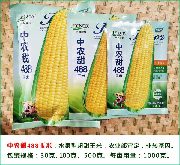 全国十大玉米种子品牌排行榜