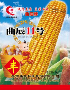 中国十大名牌玉米种子 中国十大知名品牌玉米种子