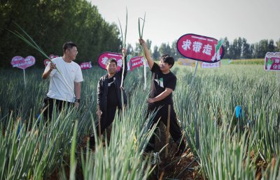 2022年种大葱怎么样 2022年大葱的种植情况如何？