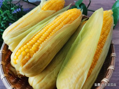 新鲜玉米怎么保存时间长一点 如何延长新鲜玉米的保鲜期？