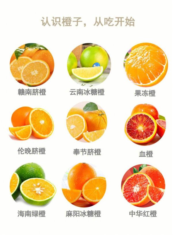 怎样选橙子比较甜