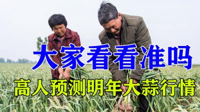 专家预测明年大蒜价格 专家预测明年大蒜价格走势