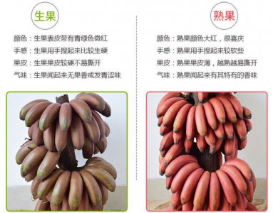 香蕉一年收获几次 香蕉一年能收成几次？