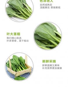 菜苔和菜心的区别 菜心与菜叶的不同