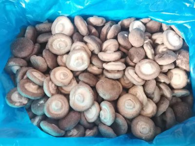 鲜香菇可以直接冷冻保存吗 鲜香菇可否直接冷冻保存？