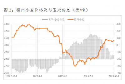 2022年1月玉米价格预测 2022年1月玉米价格展望