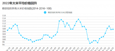 水稻2022年行情预测 水稻市场展望2022行情预测