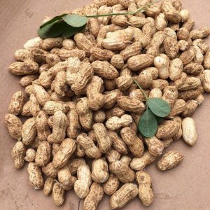2022年春节花生能涨价吗 2022年春节花生会涨价吗？