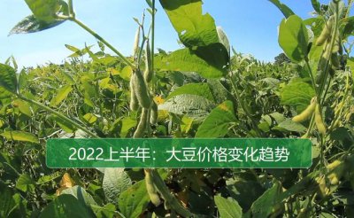 2022年大豆会涨吗 2022年大豆价格会上涨吗？