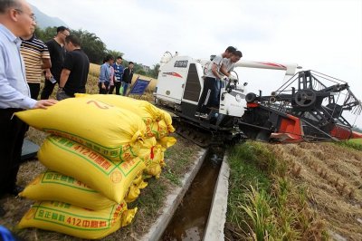中科发6号水稻品种简介 中科发6号水稻品种概述