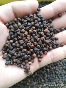 黑胡椒产地是哪个地方的最好 最佳产地在哪里的黑胡椒？
