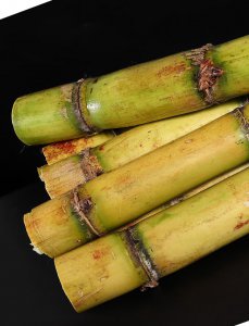 广西哪里的甘蔗最出名 哪里的甘蔗最有名气？