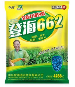 登海685玉米种子简介 登海685玉米种子介绍