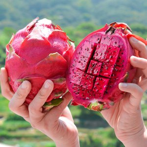 国产水果有哪些品种 国内有哪些种类的水果？