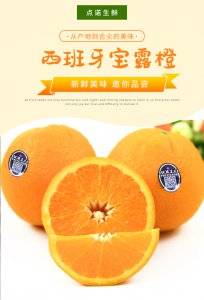 进口橙子的品种排名 进口橙子的品种排序