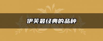 伊芙最经典的品种 经典品种之芙