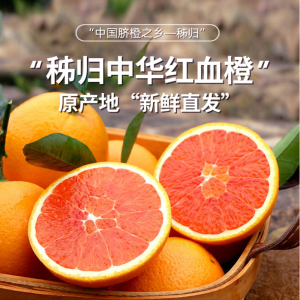 血橙产地哪里的最好吃 哪里的血橙最美味