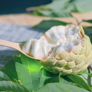 回奶的水果有哪些 能够帮助产妇回奶的水果有哪些