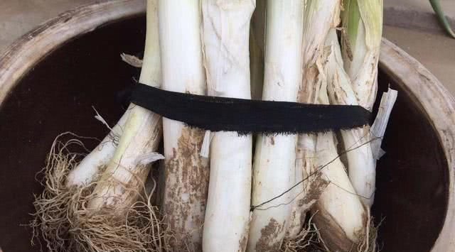 大葱怎样储存过冬而不空心
