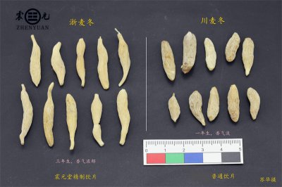 丹麦草和麦冬草的区别 丹麦草和麦冬草的异同