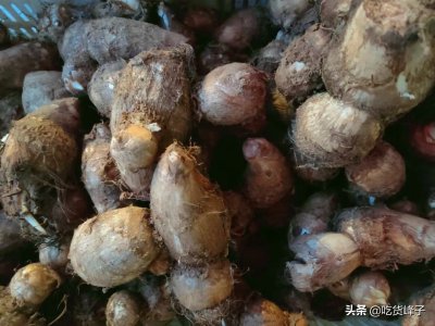 芋头不挖出来能过冬吗 芋头不挖出来冬季存储可行吗？