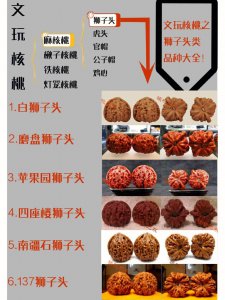 核桃品种十大排名 核桃品种排行榜Top10