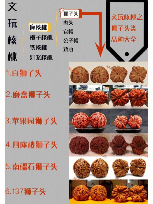 核桃品种十大排名