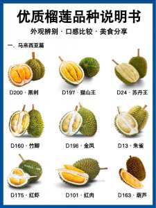 榴莲什么品种的最好吃好吃的榴莲品种排行