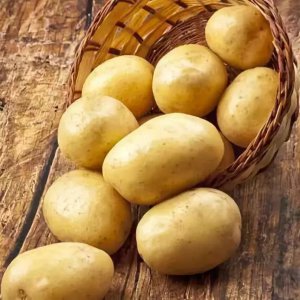 马铃薯怎么保存不发芽 如何防止马铃薯发芽？