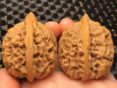 文玩核桃哪个品种好 哪种核桃文玩品质更好？