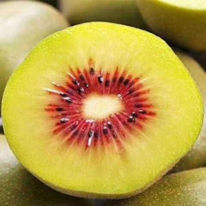 四川特产水果有哪些品种 四川特有水果有哪些种类？
