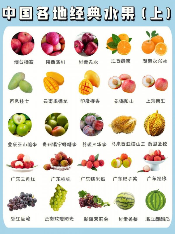 四季水果有哪些品种