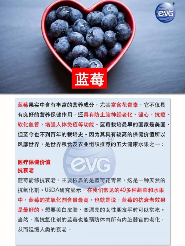 最好吃的蓝莓品种排名
