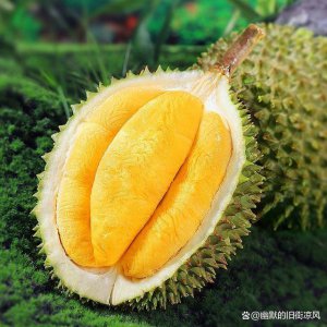 最顶级的榴莲品种 最优质的榴莲种类