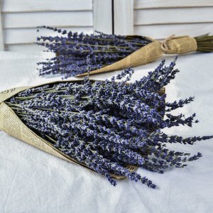 薰衣草怎么做干花 制作薰衣草干花的方法
用薰衣草制作干花