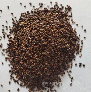 猕猴桃有种子吗 猕猴桃会结籽吗？