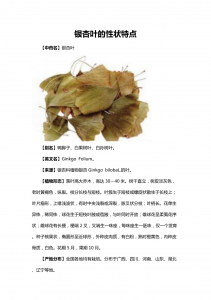 银杏叶象征着什么意义 银杏叶寓意何含义