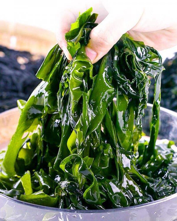 螺旋藻是裙带菜吗