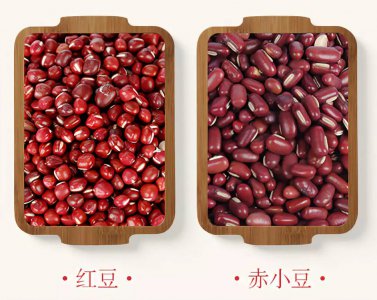 红豆和红小豆一样吗 红豆与红小豆有什么区别？