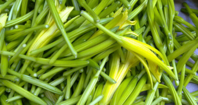 金针菜和黄花菜一样吗 金针菜和黄花菜有何相同之处？