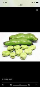 蚕豆和兰花豆一样吗 蚕豆与兰花豆是否相似？