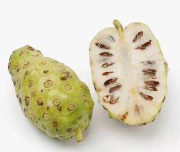 诺丽果和释迦果一样吗 诺丽果与释迦果有何相似之处？