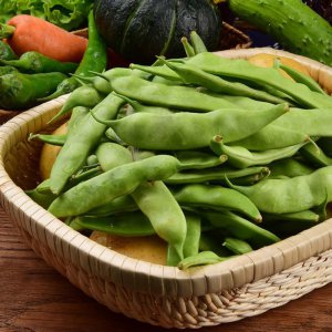 9月当季的蔬菜有哪些 9月时有哪些蔬菜上市？
