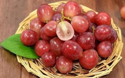 葡萄和提子是一种水果吗 葡萄和提子算不算水果？