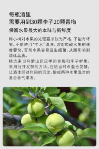 李子和梅子是一种水果吗 李子和梅子属于水果吗？