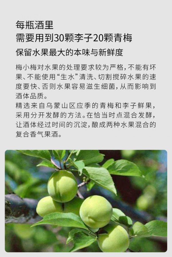 李子和梅子是一种水果吗