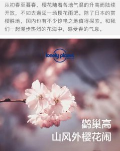 樱花几点开花时间 ?；ê问笨?？ 
樱花什么时候盛开？